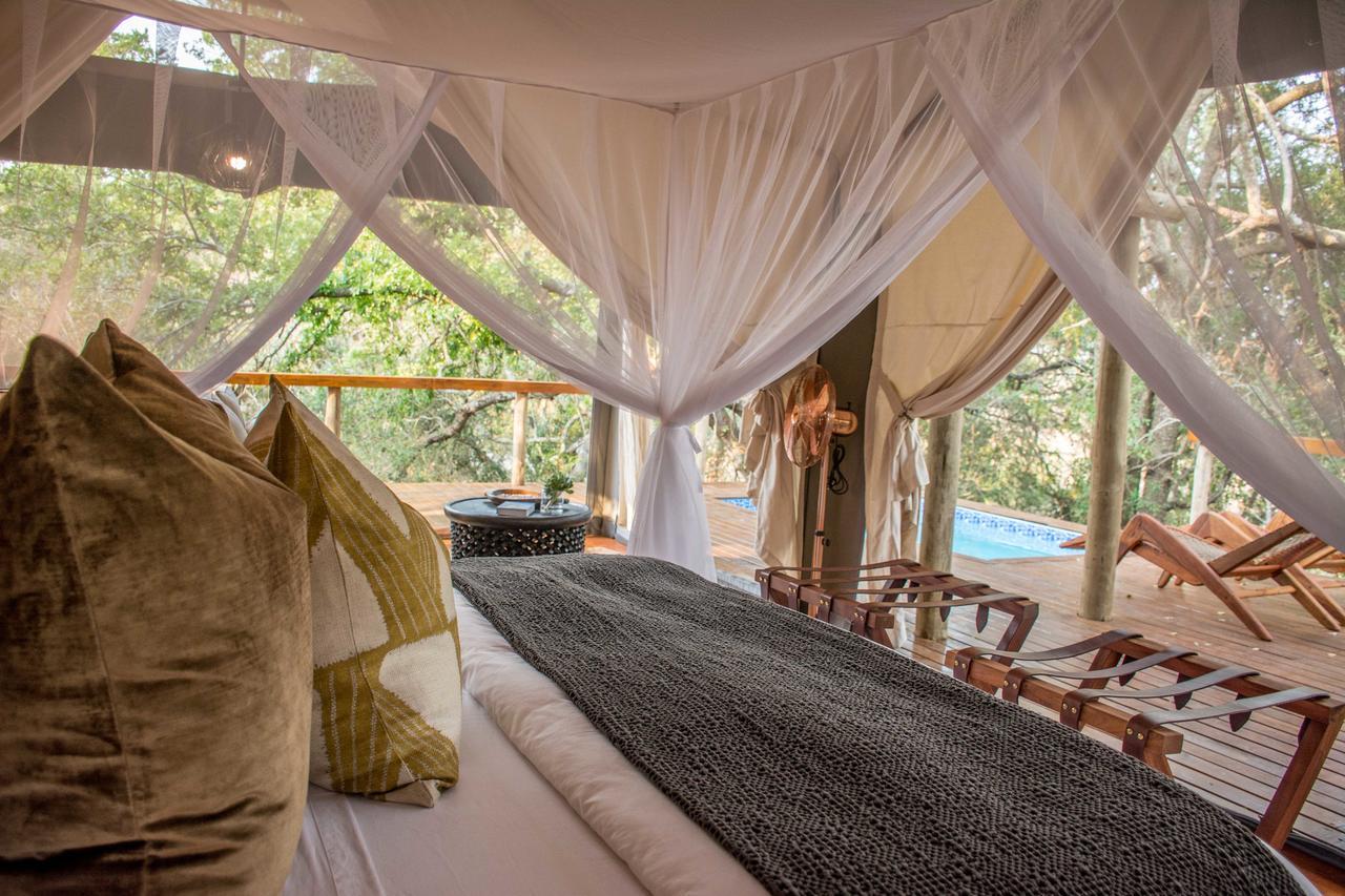 Rhino Sands Safari Camp Manyoni Private Game Reserve المظهر الخارجي الصورة